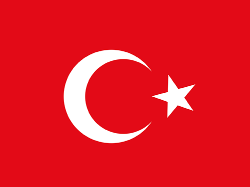USA Flag