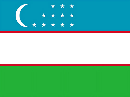 USA Flag