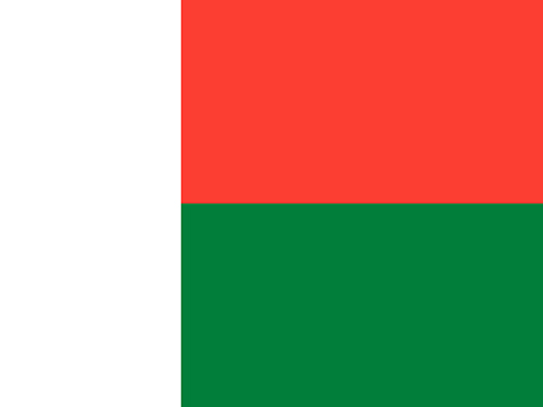 USA Flag