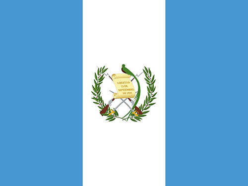 USA Flag