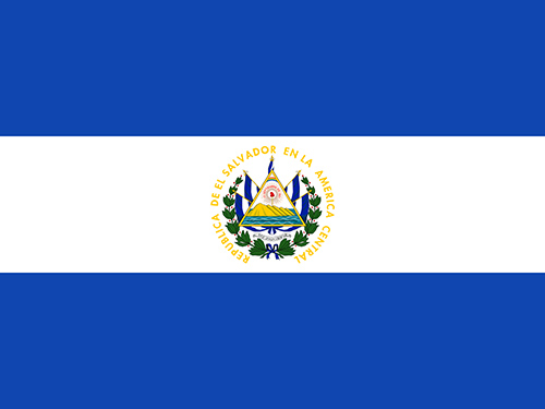 USA Flag