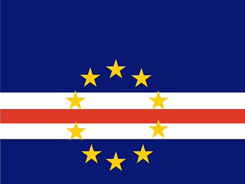 USA Flag